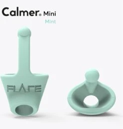 CALMER® Mini | Mint | Een Klein Oordopje Dat Stress Vermindert | Verhoogt Geluidskwaliteit | Flare Audio