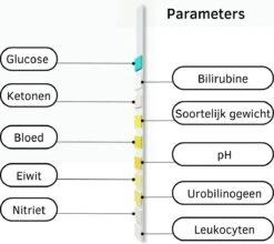 Medicon 10 Urine Test - 10 Urinetest Strips - Blaasontsteking - Urine Monster - 10 Parameters - Leukocyten - Nitriet - Urobilinogeen - Ketonen - Eiwitten - PH - Bloed - Soortelijk Gewicht - Bilirubine - Glucose - Ketonentest 8 Medicon 10 Urine Test - 10 Urinetest Strips - Blaasontsteking - Urine Monster - 10 Parameters - Leukocyten - Nitriet - Urobilinogeen - Ketonen - Eiwitten - PH - Bloed - Soortelijk Gewicht - Bilirubine - Glucose - Ketonentest -MEDISANA Shop 1200x1068 3