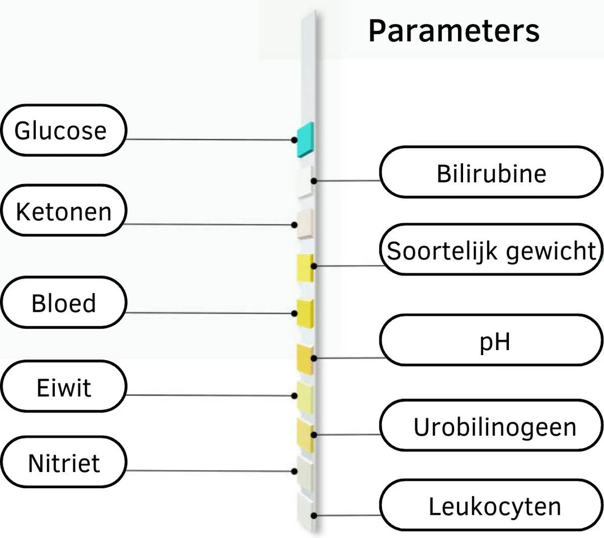 Medicon 10 Urine Test - 10 Urinetest Strips - Blaasontsteking - Urine Monster - 10 Parameters - Leukocyten - Nitriet - Urobilinogeen - Ketonen - Eiwitten - PH - Bloed - Soortelijk Gewicht - Bilirubine - Glucose - Ketonentest 5 Medicon 10 Urine Test - 10 Urinetest Strips - Blaasontsteking - Urine Monster - 10 Parameters - Leukocyten - Nitriet - Urobilinogeen - Ketonen - Eiwitten - PH - Bloed - Soortelijk Gewicht - Bilirubine - Glucose - Ketonentest - Afbeelding 3