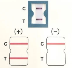 Lepu Medical - 20 Stuks - Sars-CoV-2 Antigen Rapid Test - Corona Zelftest RIVM Goedgekeurd - Inclusief NEDERLANDSE Handleiding -MEDISANA Shop 1200x1126 5