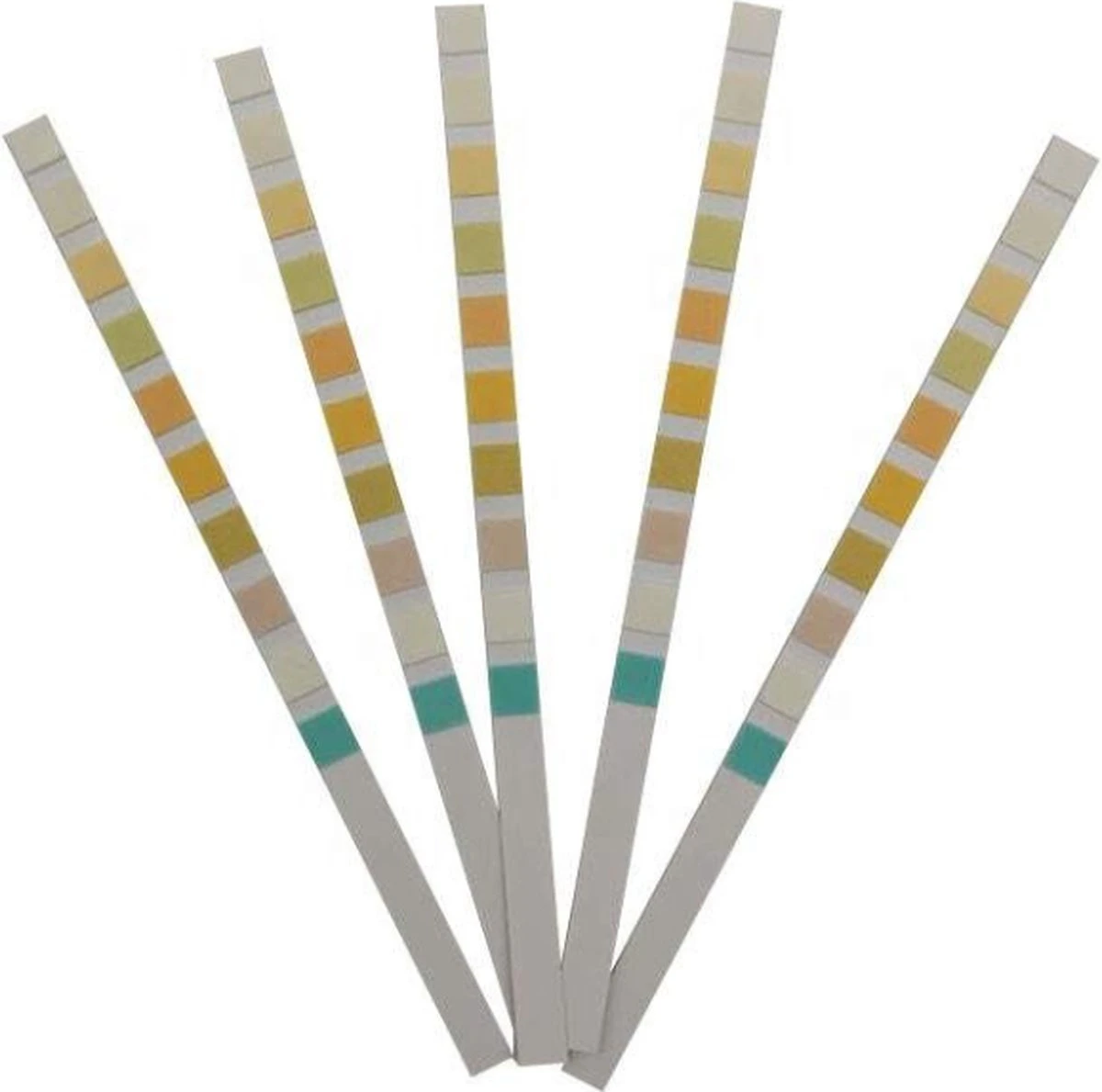 Medicon 10 Urine Test - 10 Urinetest Strips - Blaasontsteking - Urine Monster - 10 Parameters - Leukocyten - Nitriet - Urobilinogeen - Ketonen - Eiwitten - PH - Bloed - Soortelijk Gewicht - Bilirubine - Glucose - Ketonentest 4 Medicon 10 Urine Test - 10 Urinetest Strips - Blaasontsteking - Urine Monster - 10 Parameters - Leukocyten - Nitriet - Urobilinogeen - Ketonen - Eiwitten - PH - Bloed - Soortelijk Gewicht - Bilirubine - Glucose - Ketonentest - Afbeelding 2