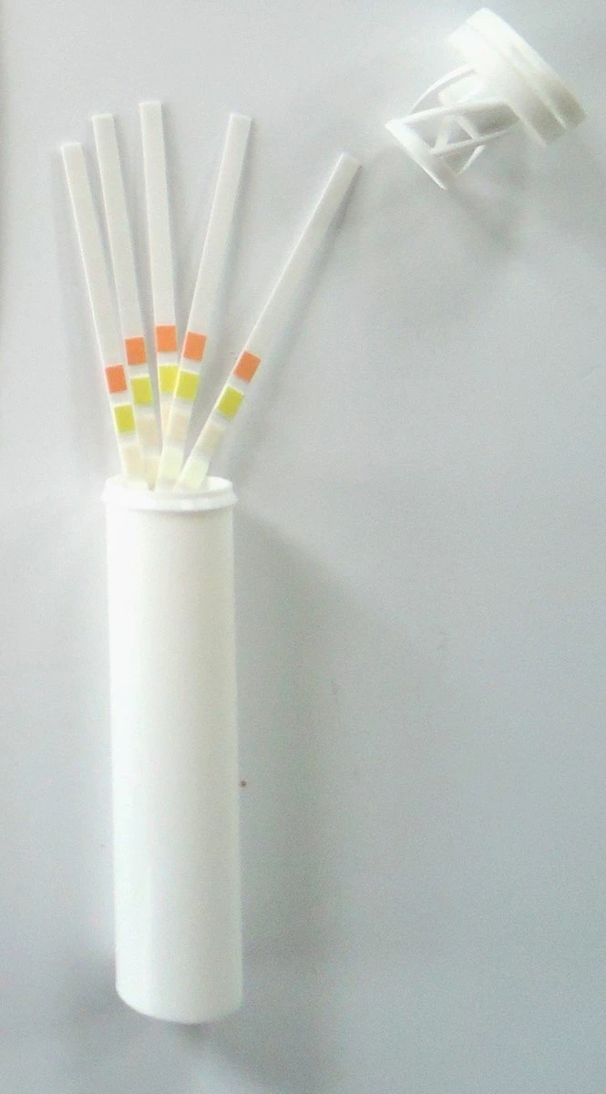 Urine ZelfTest Strips - 5 Stuks- Combur 7 - Met Duidelijk Testblad - Blaasontsteking- Lever/Nier- Ketose - Bloed - Urinetest - Brievenbus-levering 4 Urine ZelfTest Strips - 5 Stuks- Combur 7 - Met Duidelijk Testblad - Blaasontsteking- Lever/Nier- Ketose - Bloed - Urinetest - Brievenbus-levering - Afbeelding 2