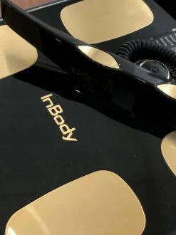 InBody Dial H20N - Smart Weegschaal Met Vet/spier Meting - Lichaamsanalyse - Bluetooth & App (Midnight Black) -MEDISANA Shop 899x1200